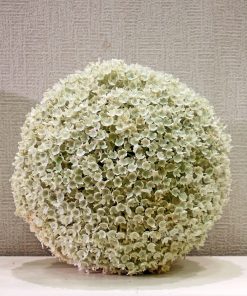 Online Ανθοπωλείο - Λουλούδια - Αποστολή Λουλουδιών