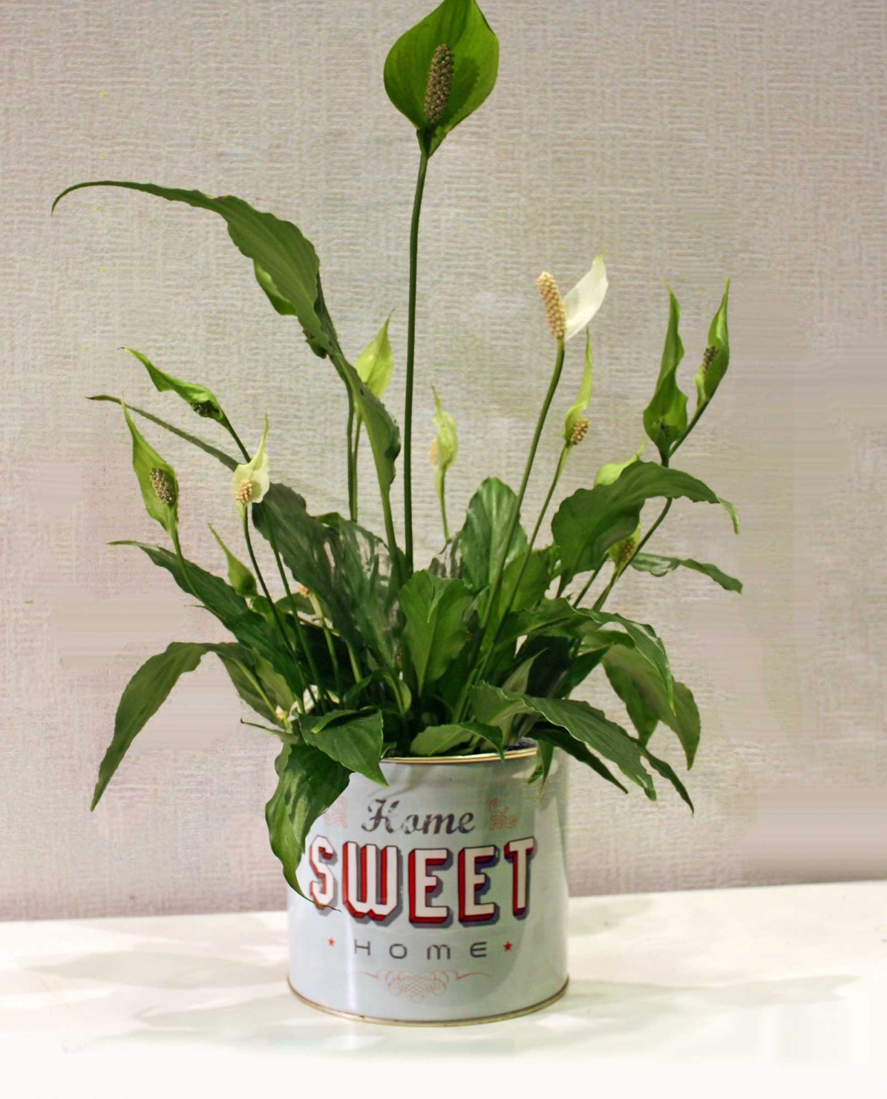 Ανθοπωλείο AnaisDecor