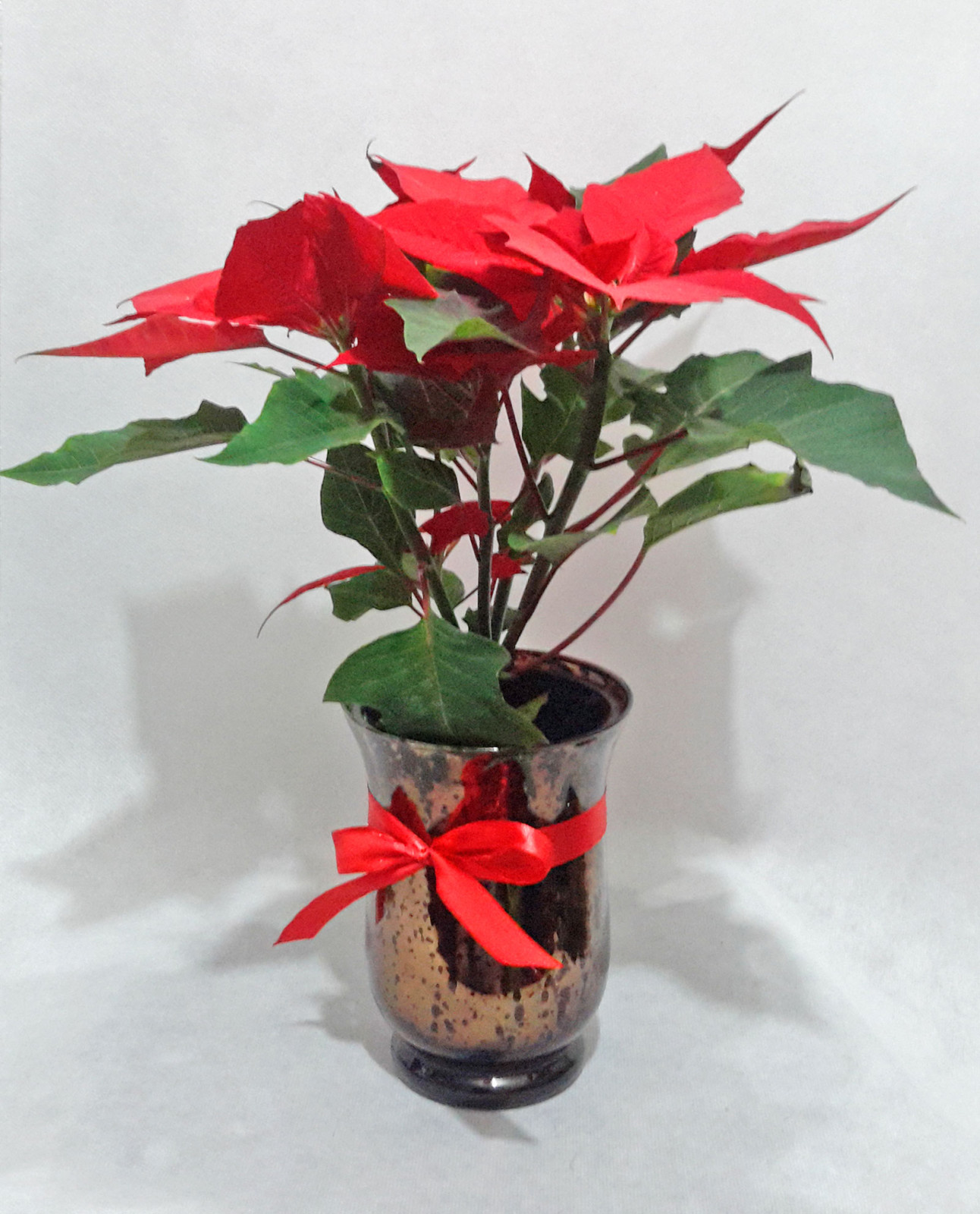 Ανθοπωλείο AnaisDecor