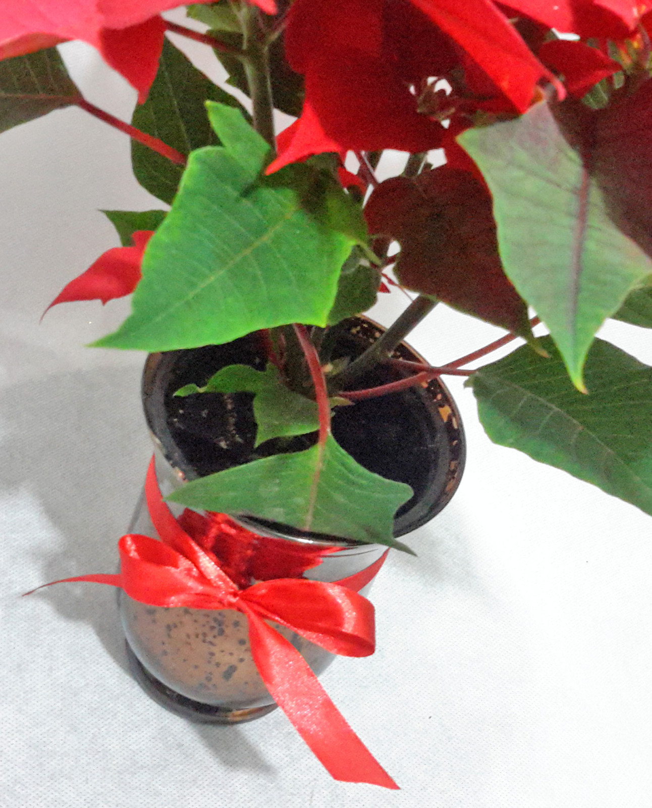 Ανθοπωλείο AnaisDecor