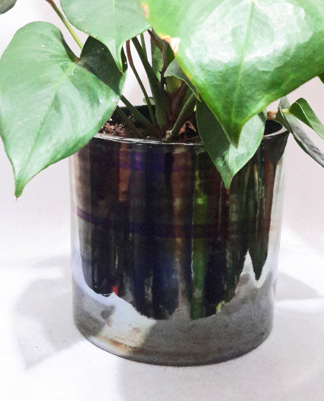 Ανθοπωλείο AnaisDecor