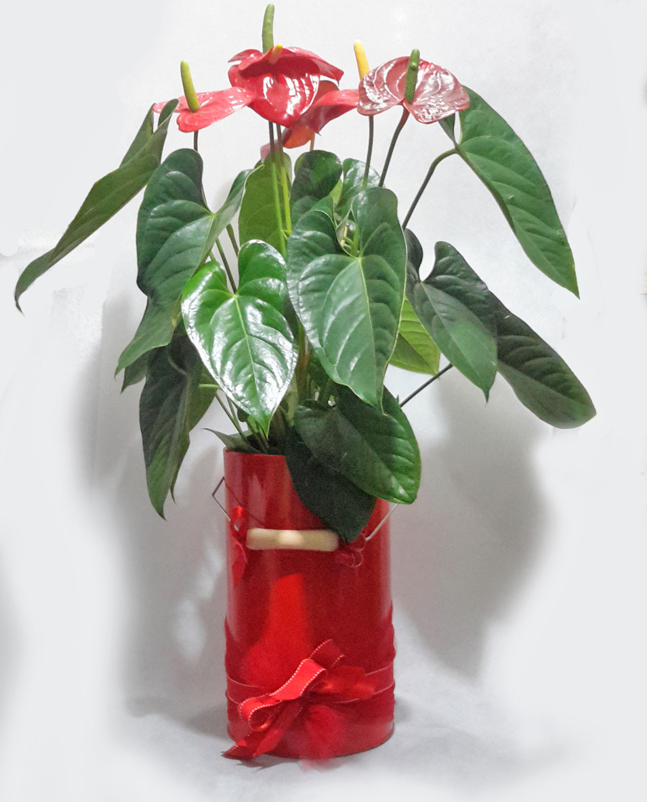 Ανθοπωλείο AnaisDecor