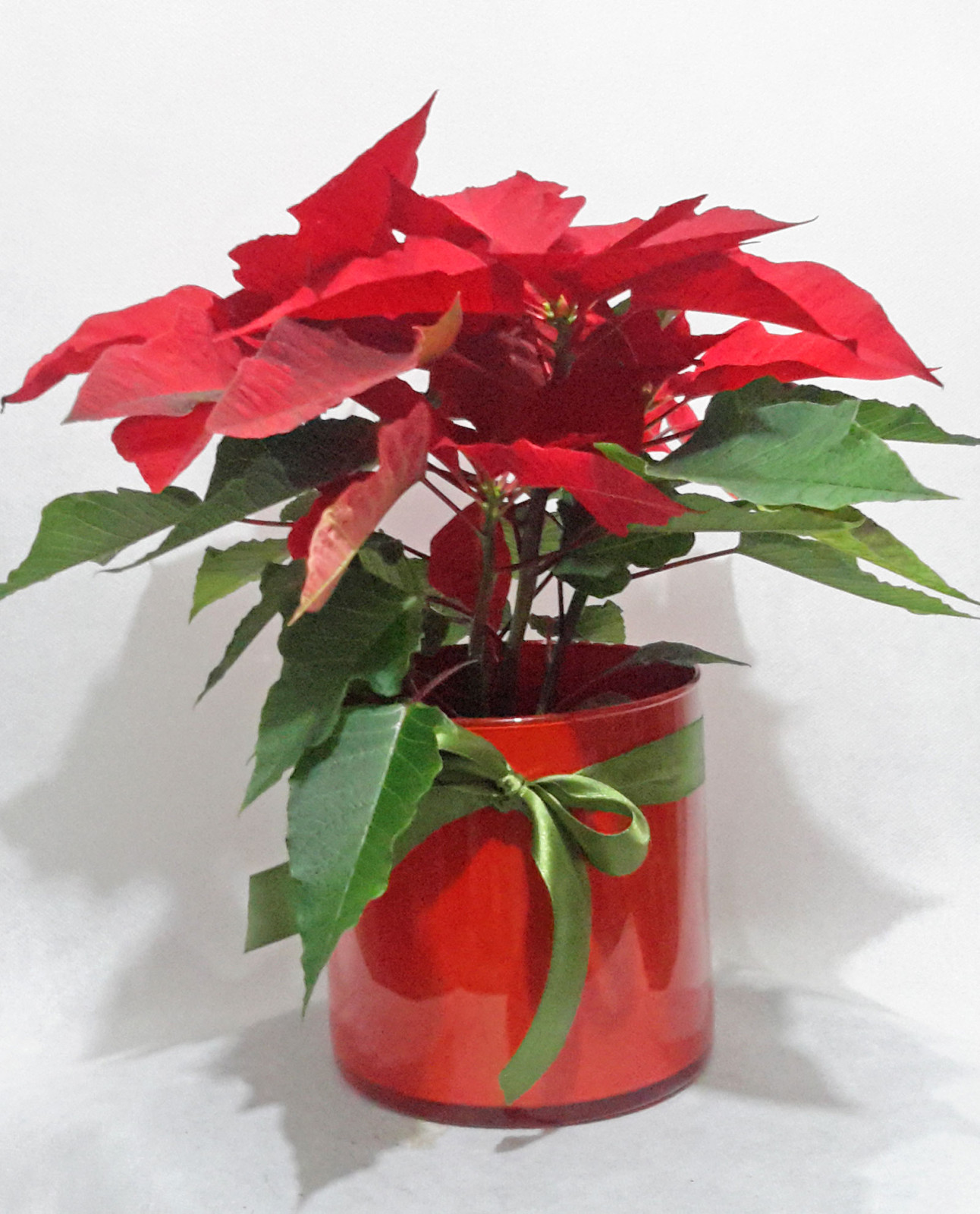 Ανθοπωλείο AnaisDecor