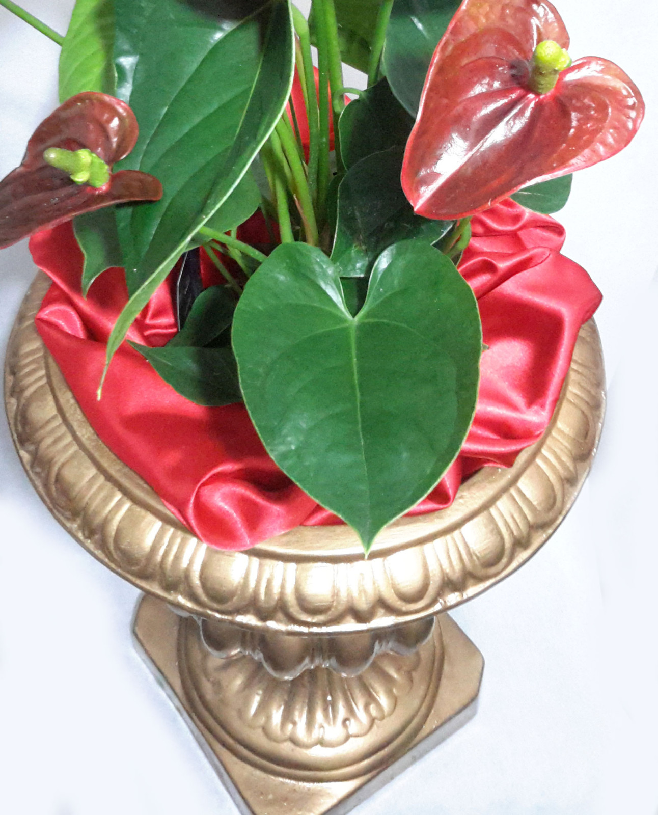 Ανθοπωλείο AnaisDecor