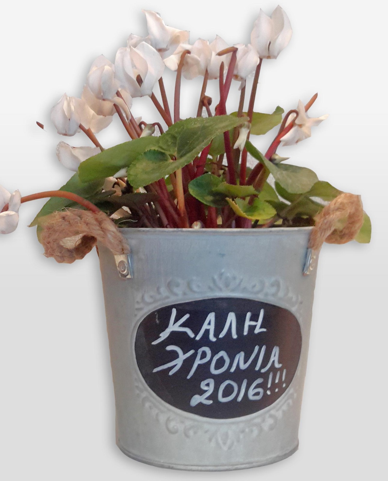 Ανθοπωλείο AnaisDecor