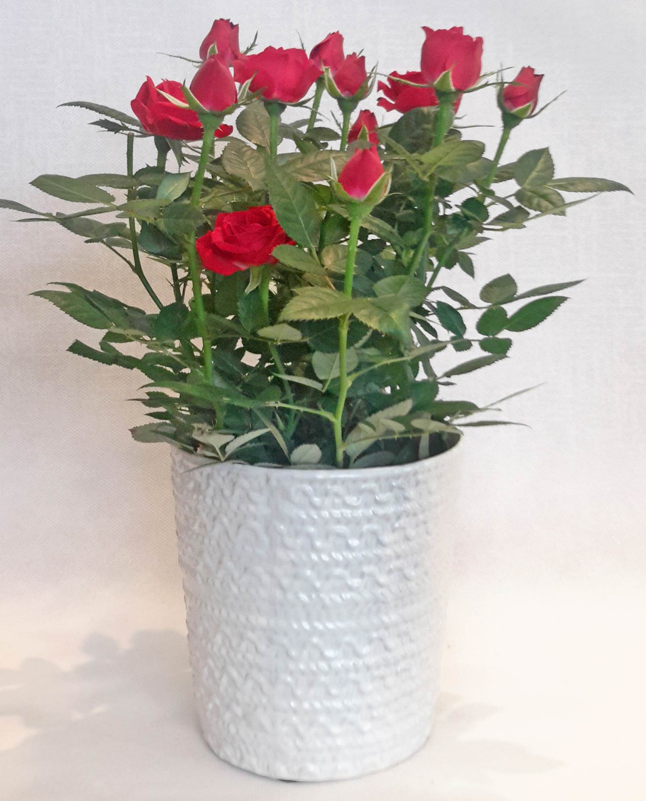 Ανθοπωλείο AnaisDecor