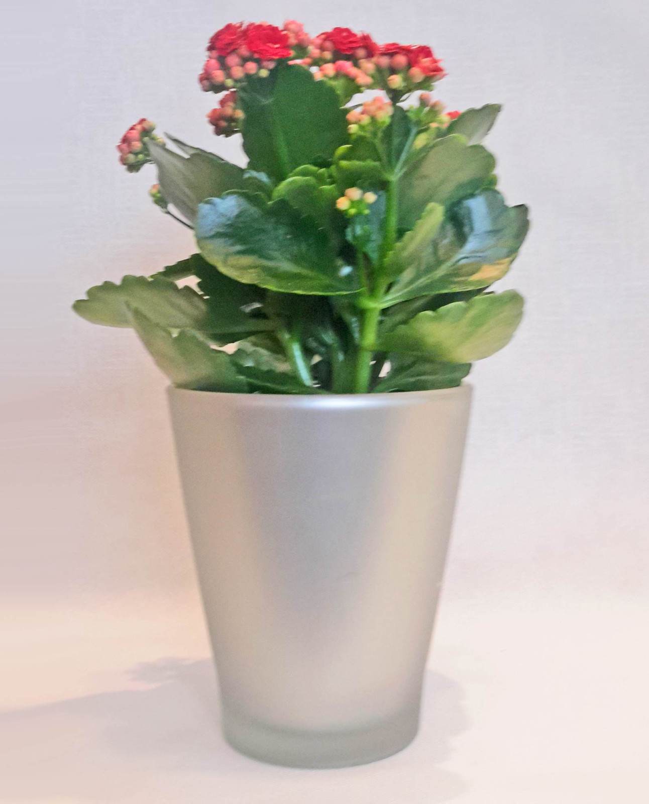 Ανθοπωλείο AnaisDecor