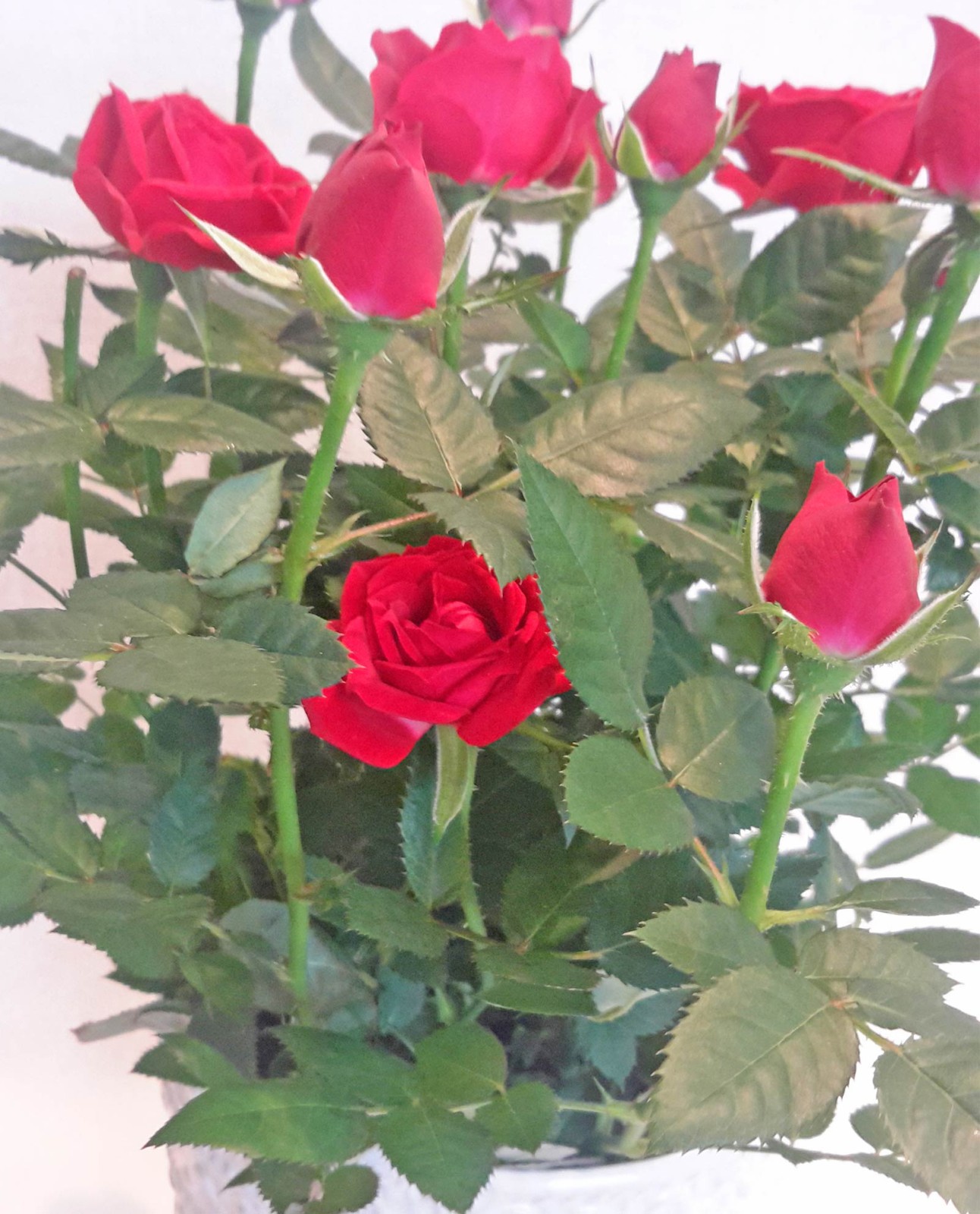 Ανθοπωλείο AnaisDecor