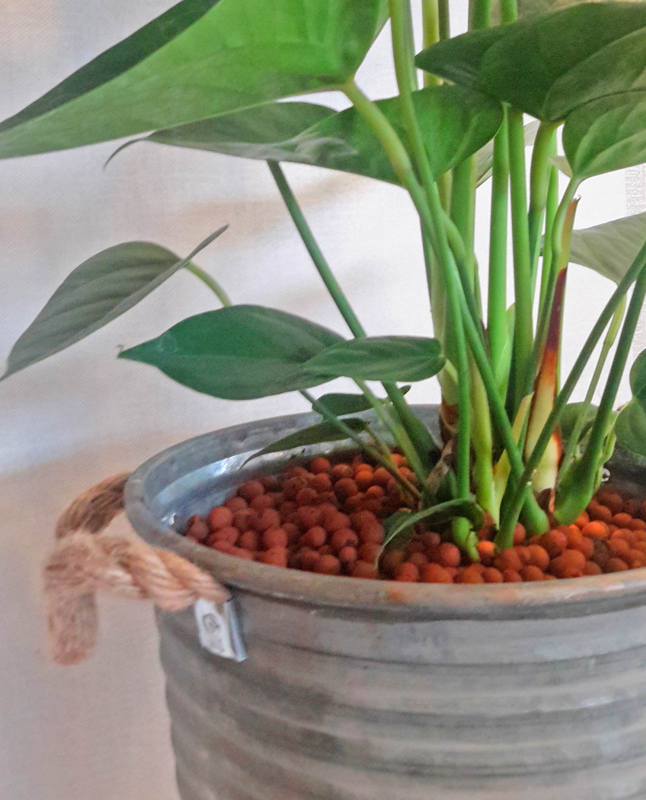 Ανθοπωλείο AnaisDecor