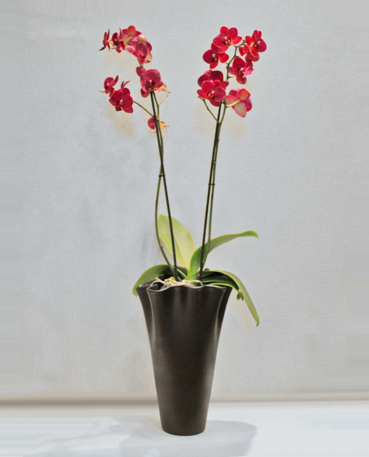 Ανθοπωλείο AnaisDecor