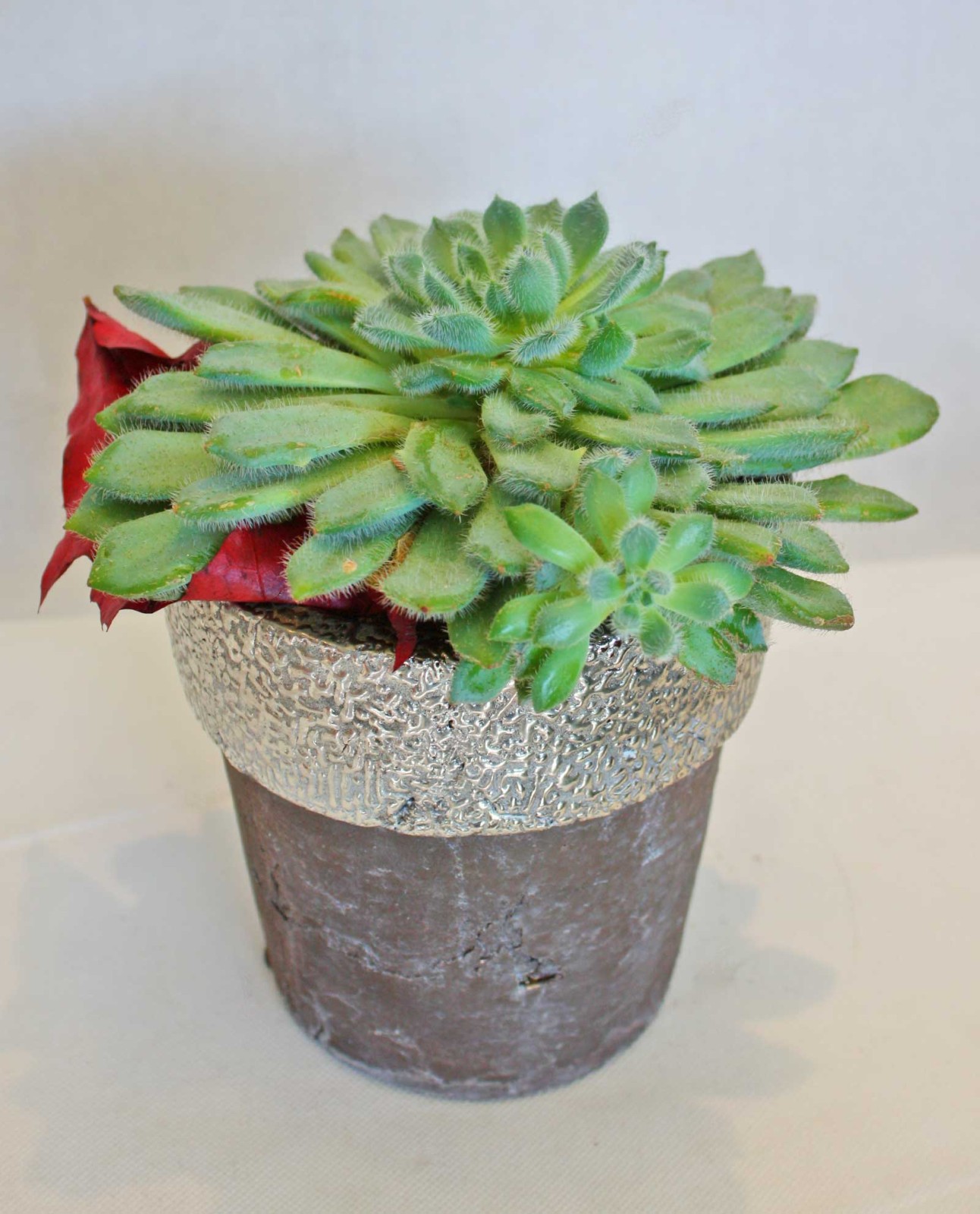 Ανθοπωλείο AnaisDecor