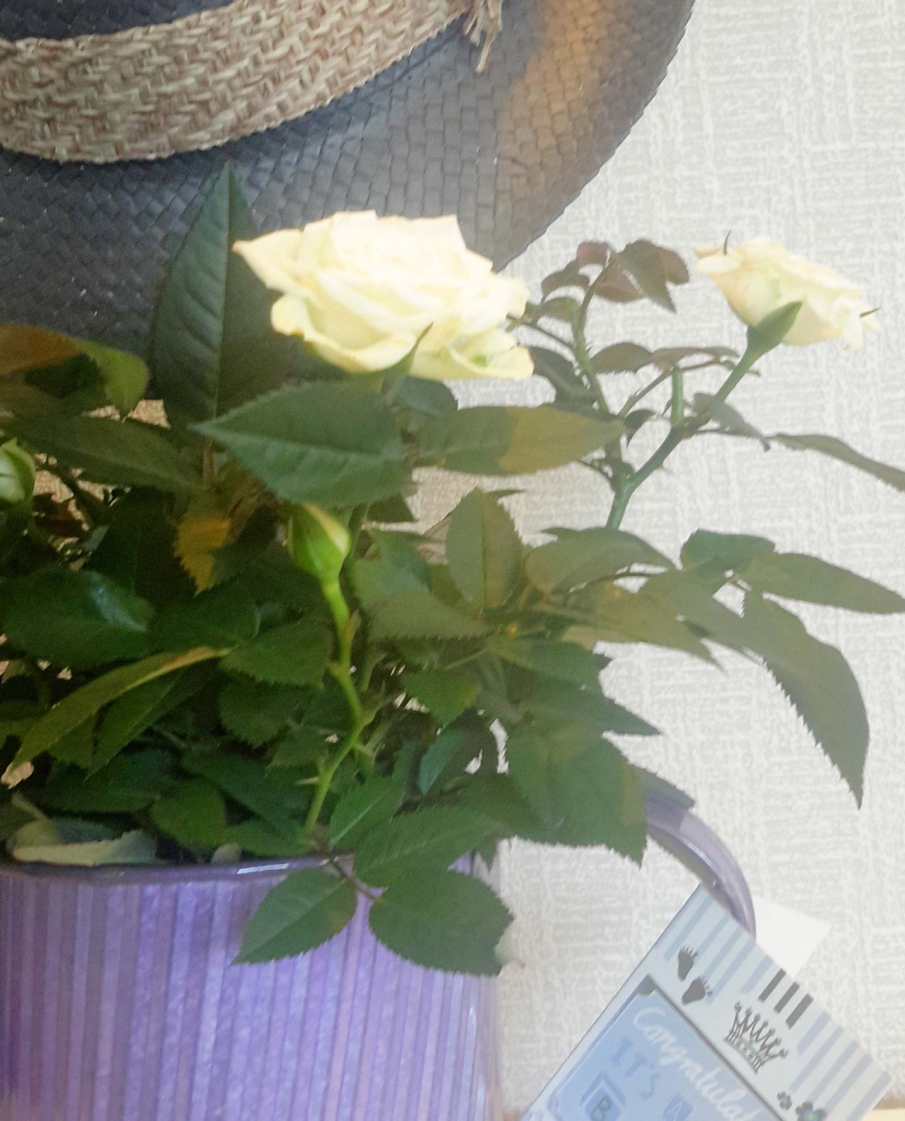 Ανθοπωλείο AnaisDecor