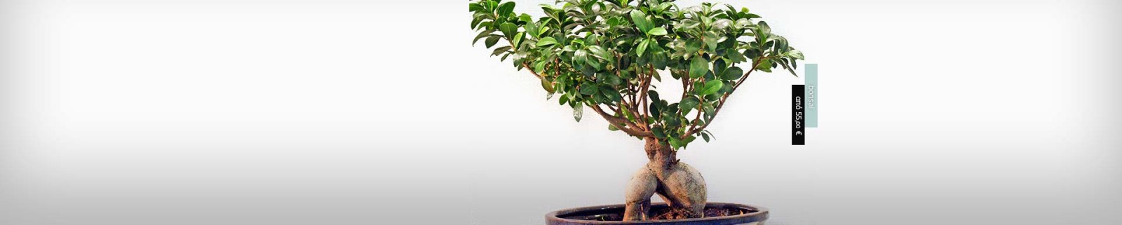 Ανθοπωλείο AnaisDecor