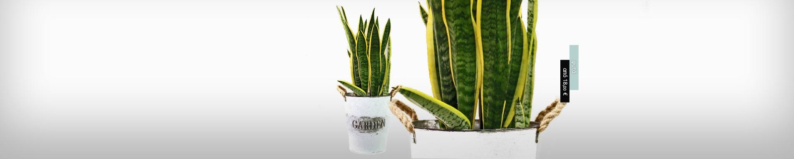 Ανθοπωλείο AnaisDecor