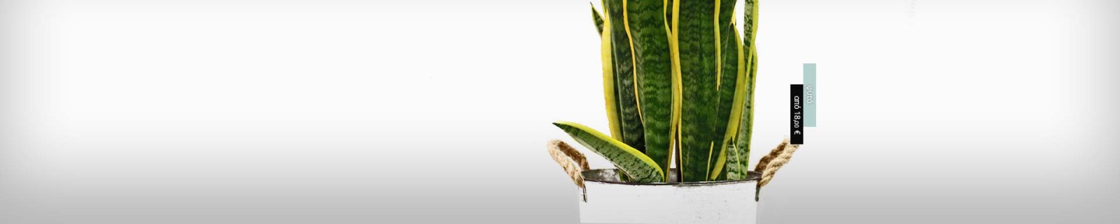 Ανθοπωλείο AnaisDecor