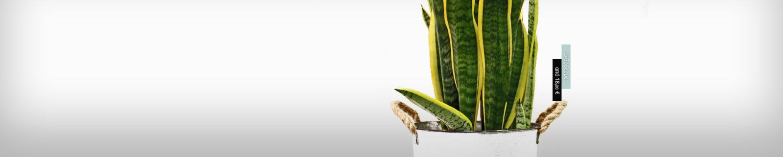 Ανθοπωλείο AnaisDecor