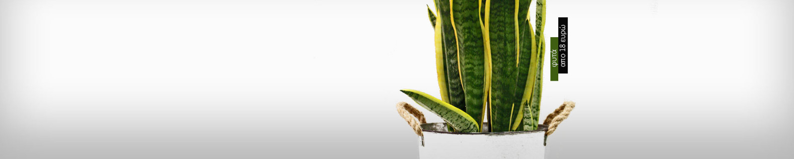 Ανθοπωλείο AnaisDecor