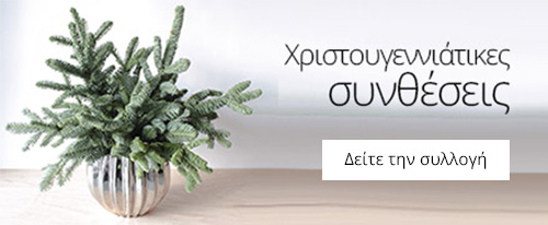 Ανθοπωλείο AnaisDecor