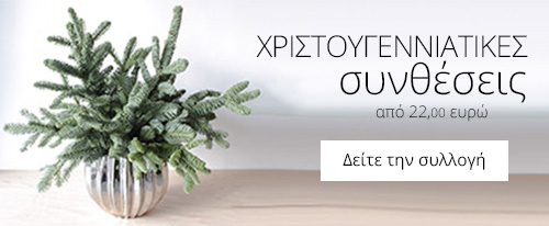 Ανθοπωλείο AnaisDecor