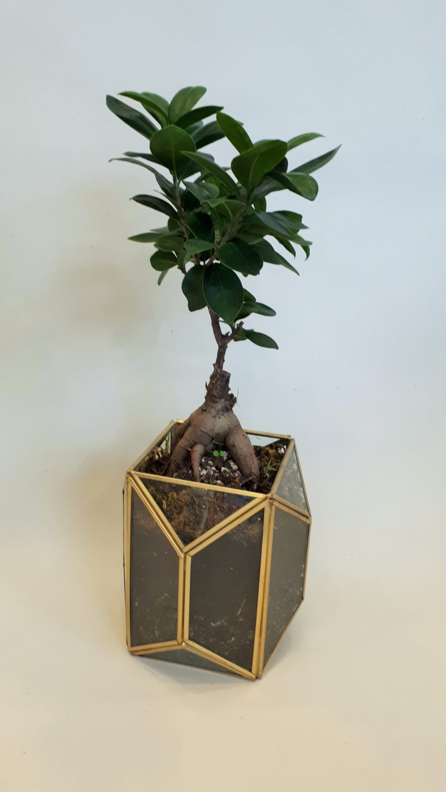 Ανθοπωλείο AnaisDecor